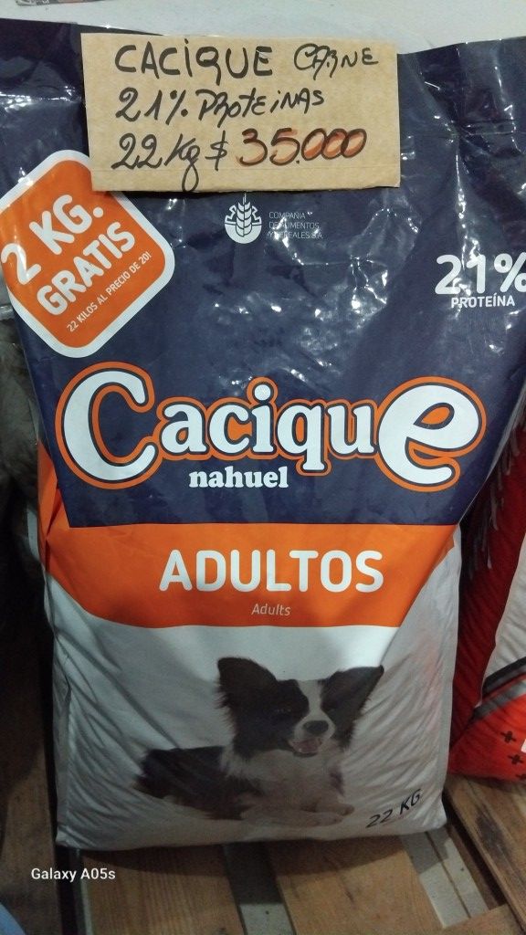 Cacique Perro Adulto x22kg