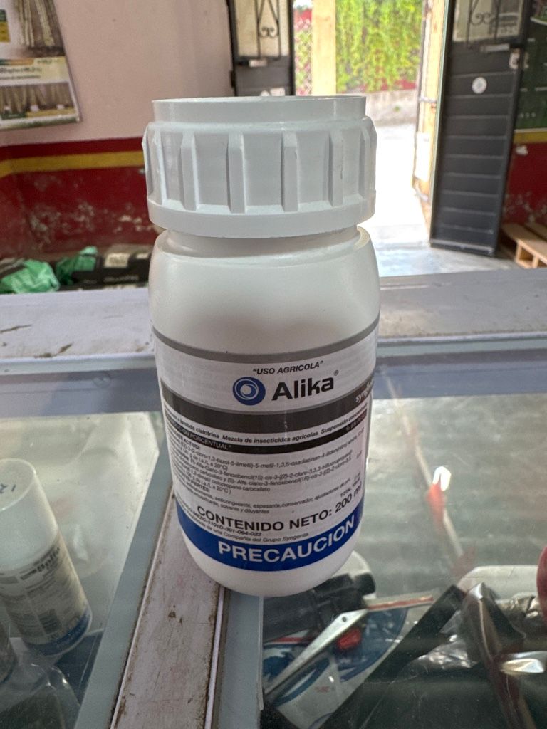 Alika