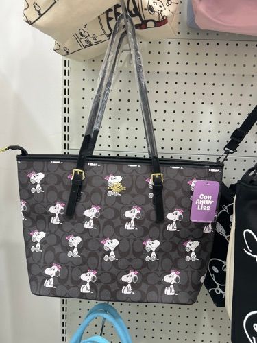 CARTERA COACH GRAN 63275
