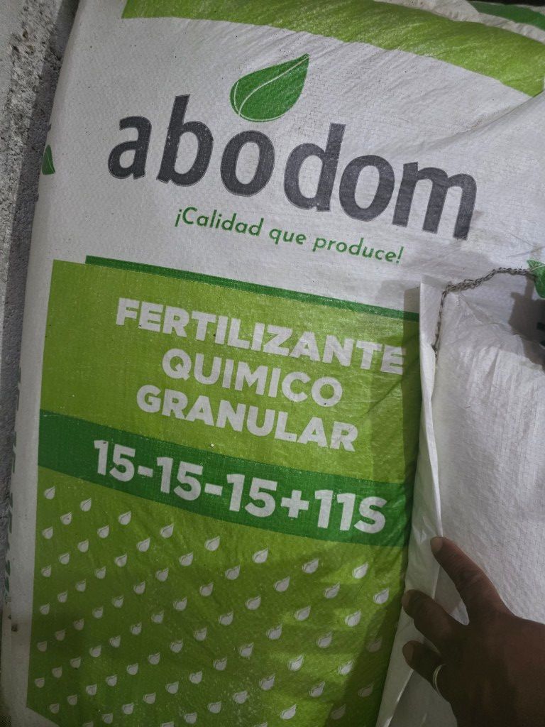15 15 15 paletizado abodom