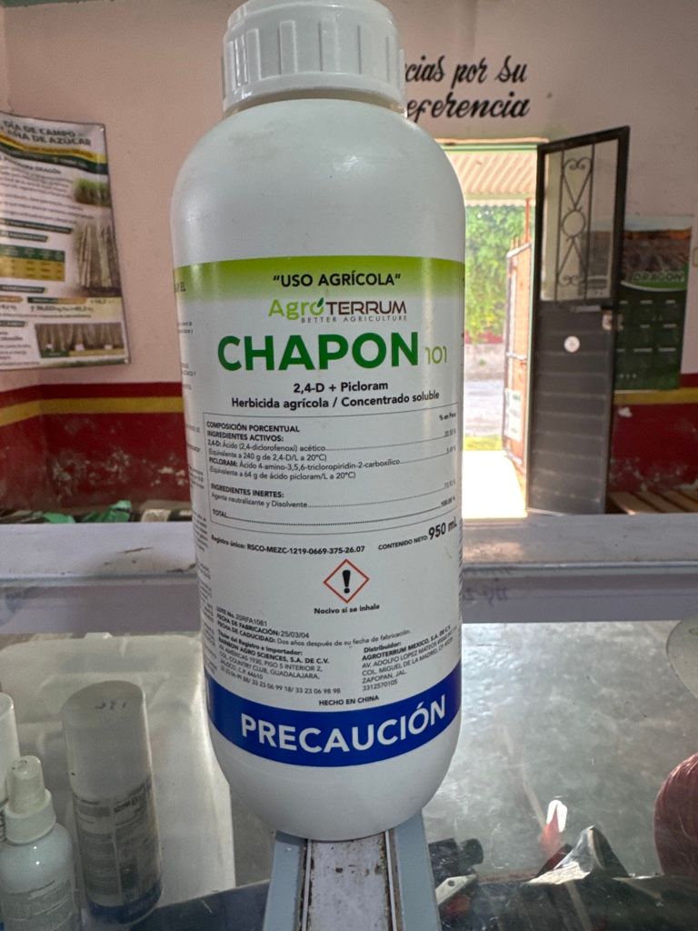 Chapón 101