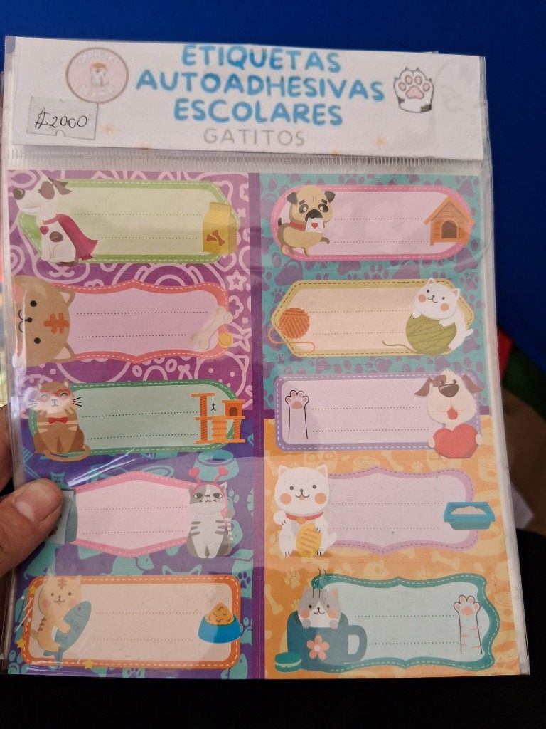 Autoadhesivas escolares grandes