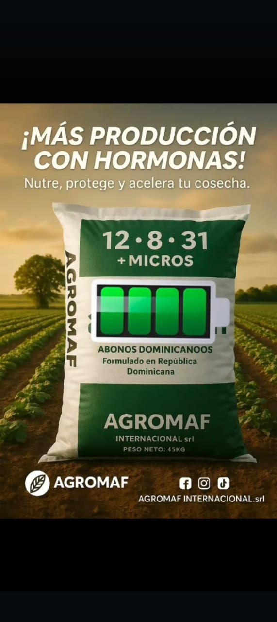 12 8 31 formula especial micros