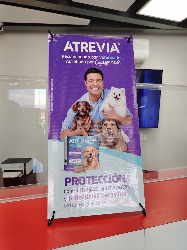 ARAÑITAS CHAYANNE