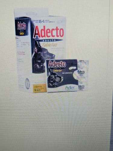 Adecto adulto