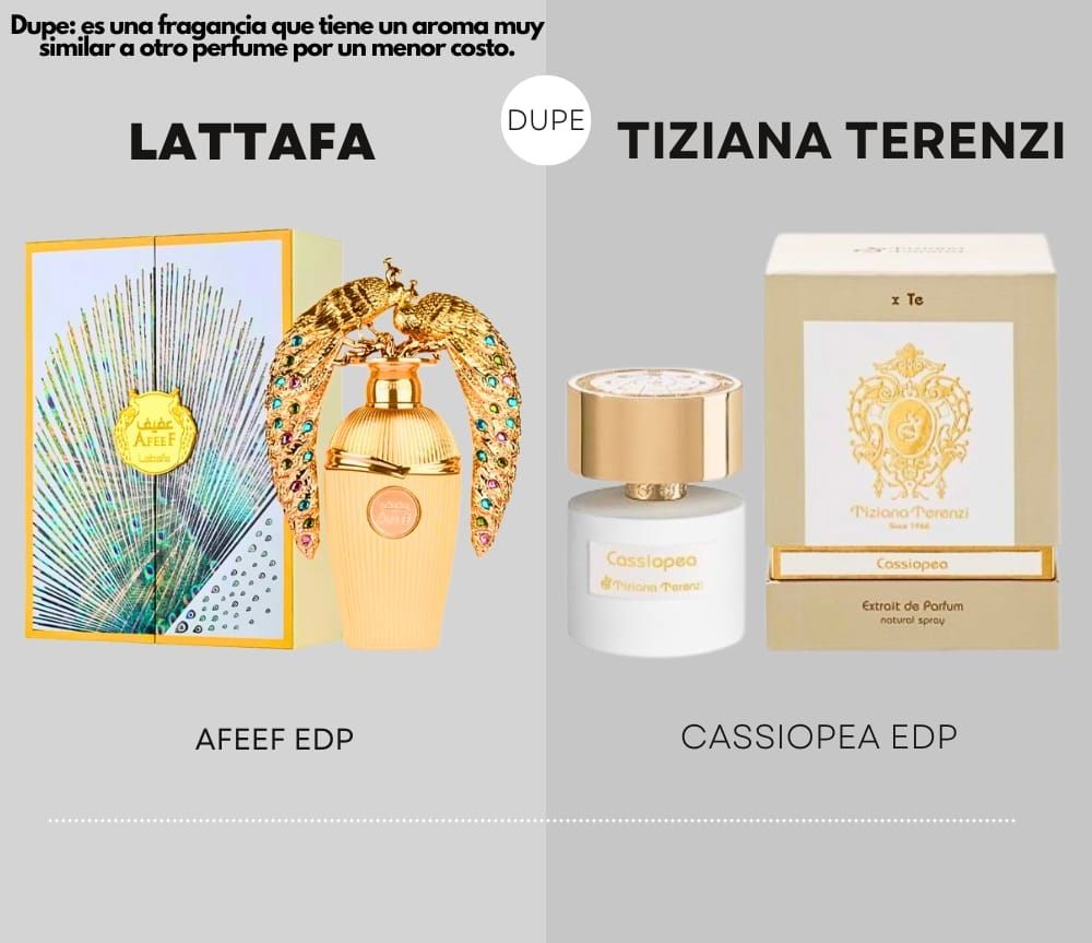 AFEEF EDP
