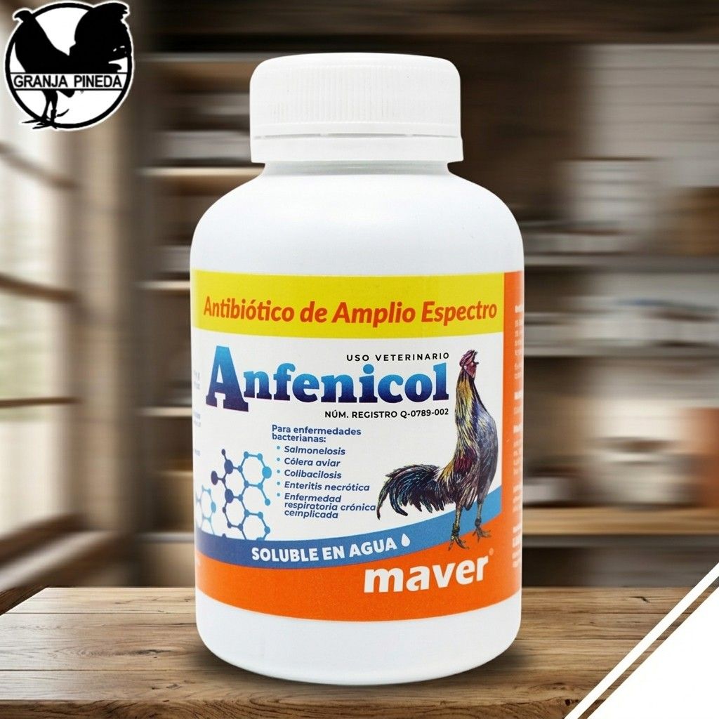 Anfenicol 250ml
