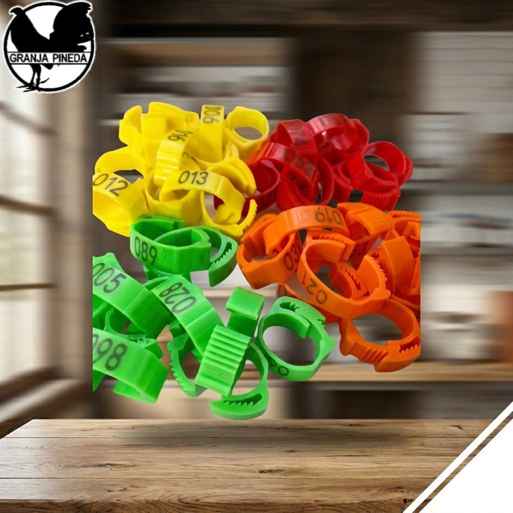 100 Anillos Plasticos 1-100