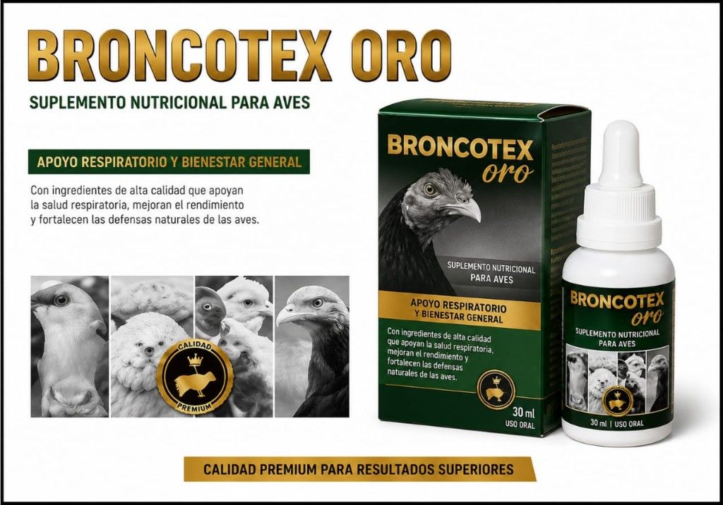 Broncotex oro x caja sobres