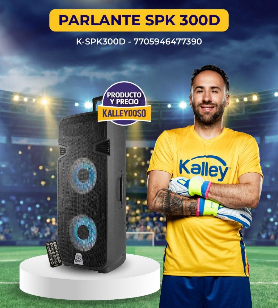 Parlante Kalley K-SPK300D