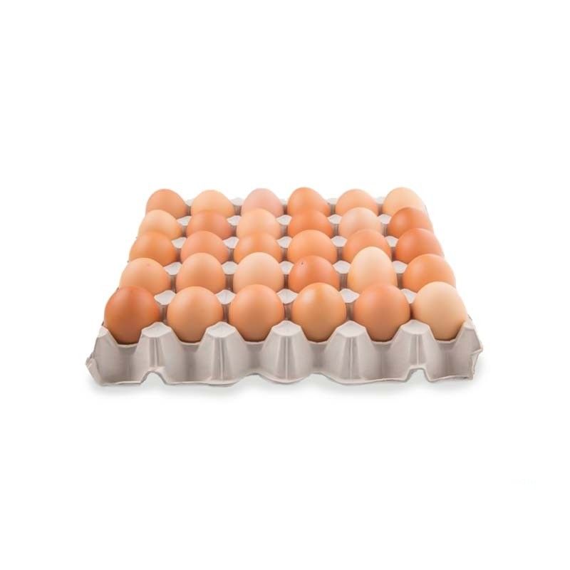 Huevos Cajilla