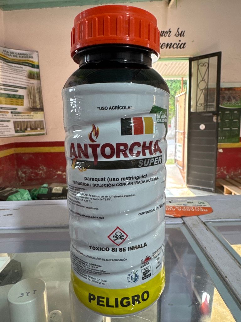 Antorcha