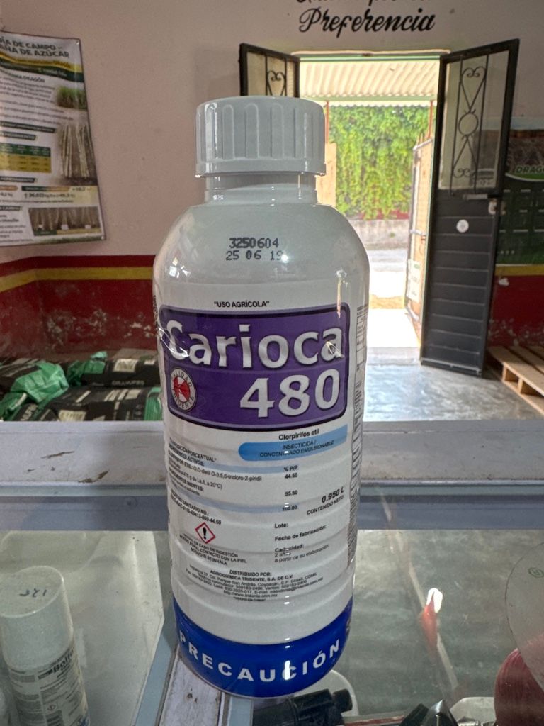 Carioca