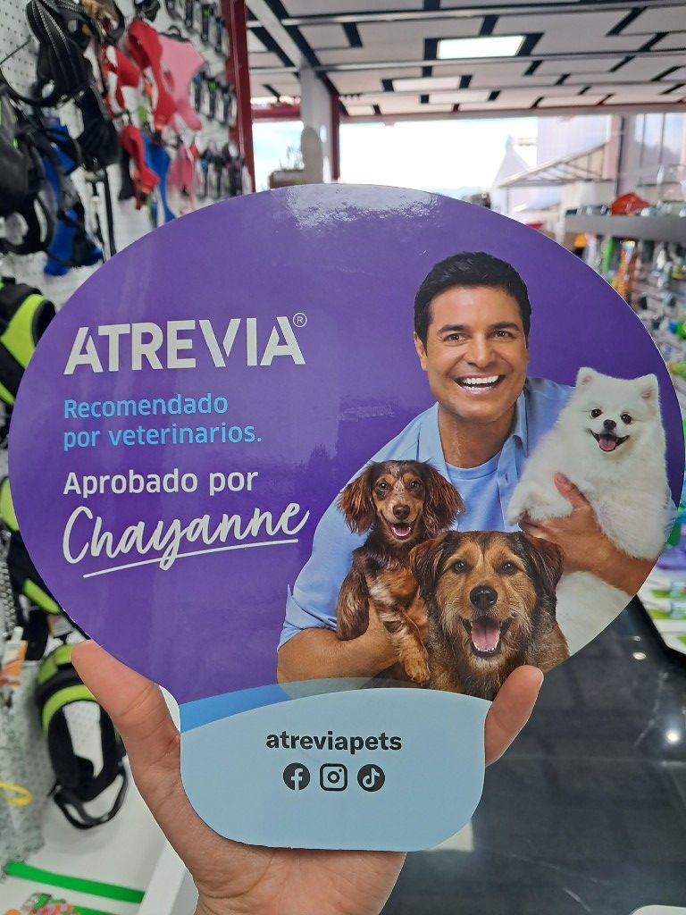 ABANICO CHAYANNE