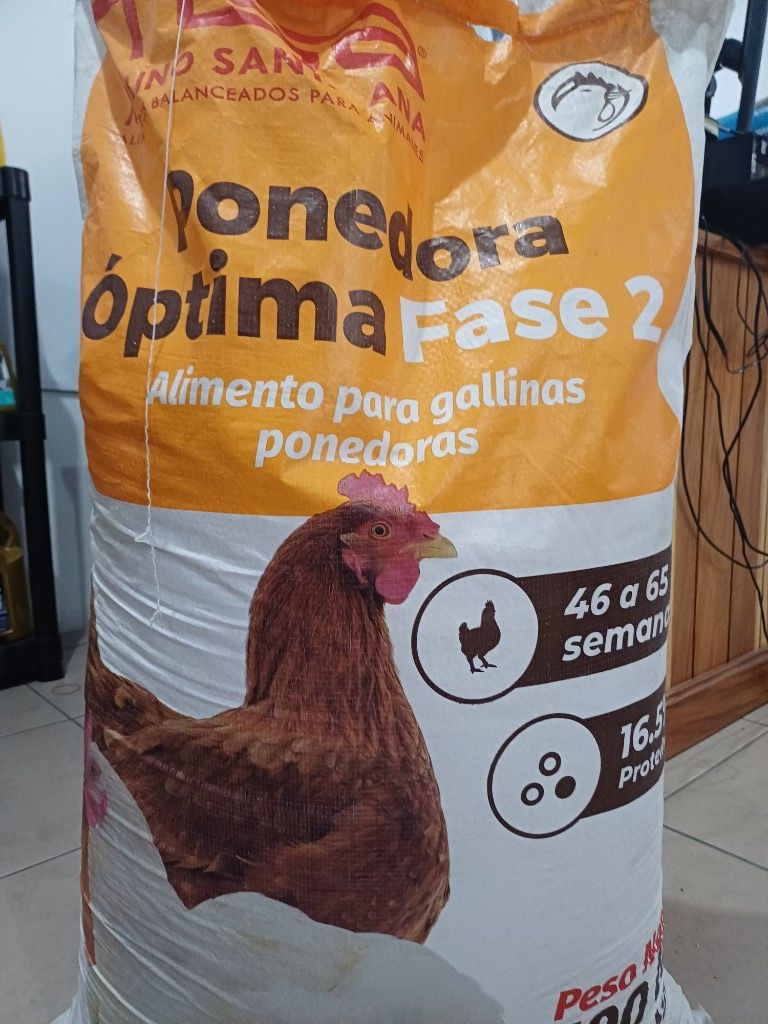Ponedora optima fase 2 Quintal