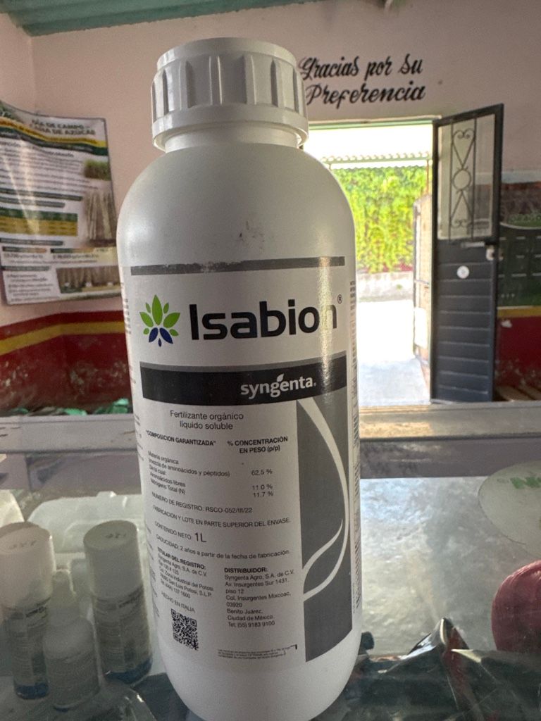Isabion