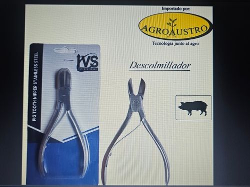 Descolmilladora para cerdo