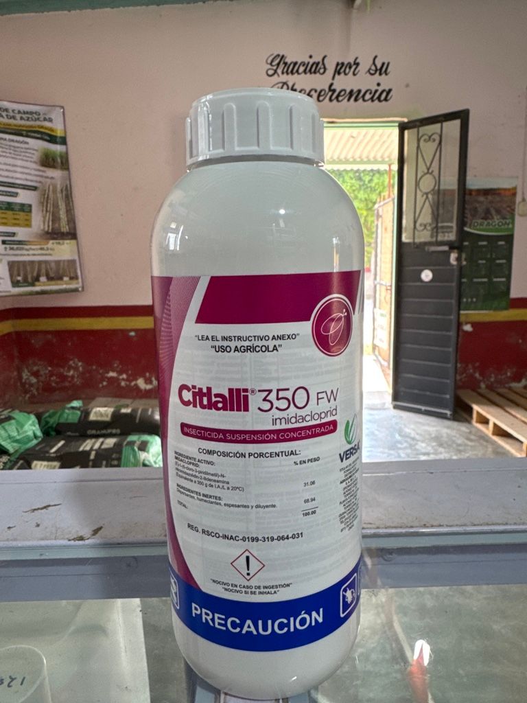 Citlalli 350
