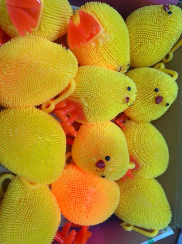 POLLITO GH116