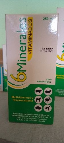 6 minerales vitaminado 250 ml