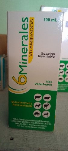 6 minerales vitaminado 100 ml