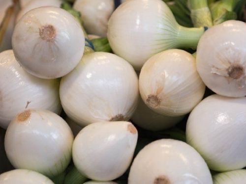 CEBOLLA BLANCA