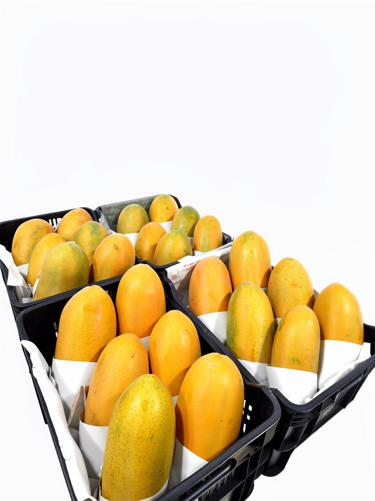 Papaya paulina