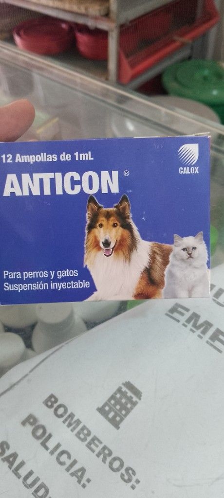 ANTICON 12 ampollas