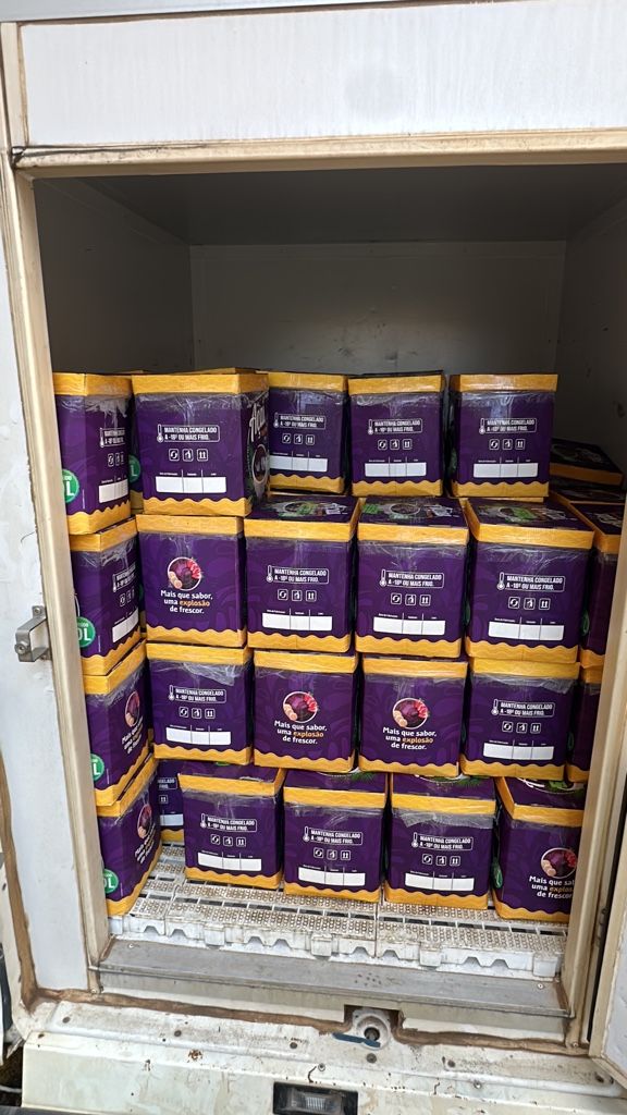 Açaí caixa 10 litros