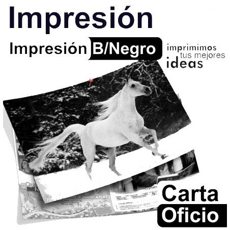 IMPRESIÓN A BLANCO Y NEGRO