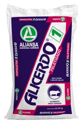 Alicerdo 1
