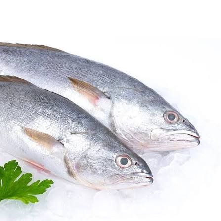 cachema entera fresca