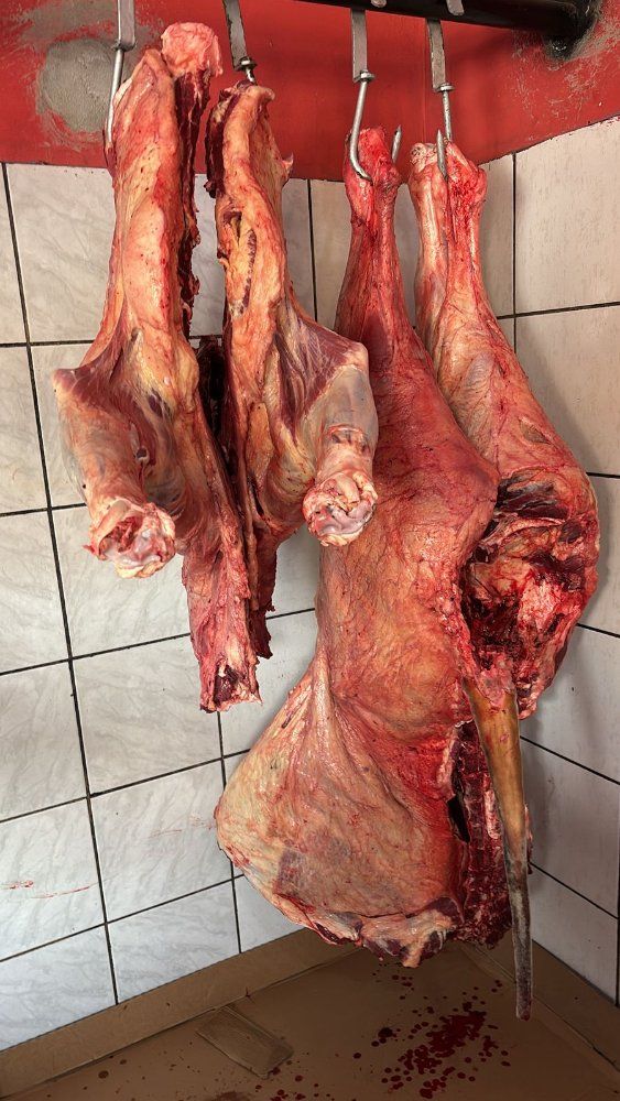 Carne Com Osso