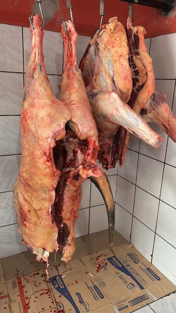 Carne Moida
