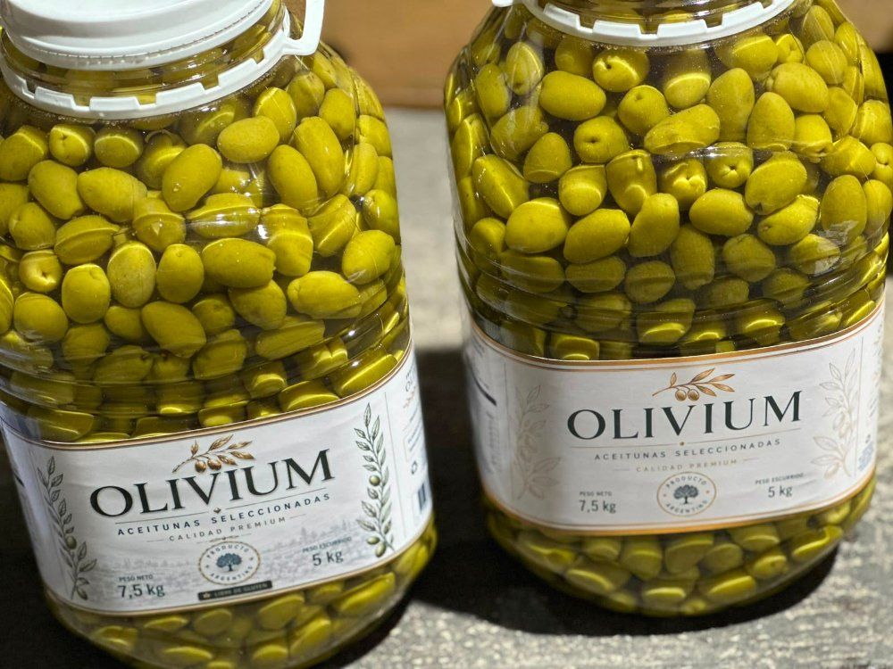 Aceituna V/nro 1. 5 kg