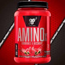 AMINO X ENDURANCE Y RECOVERY